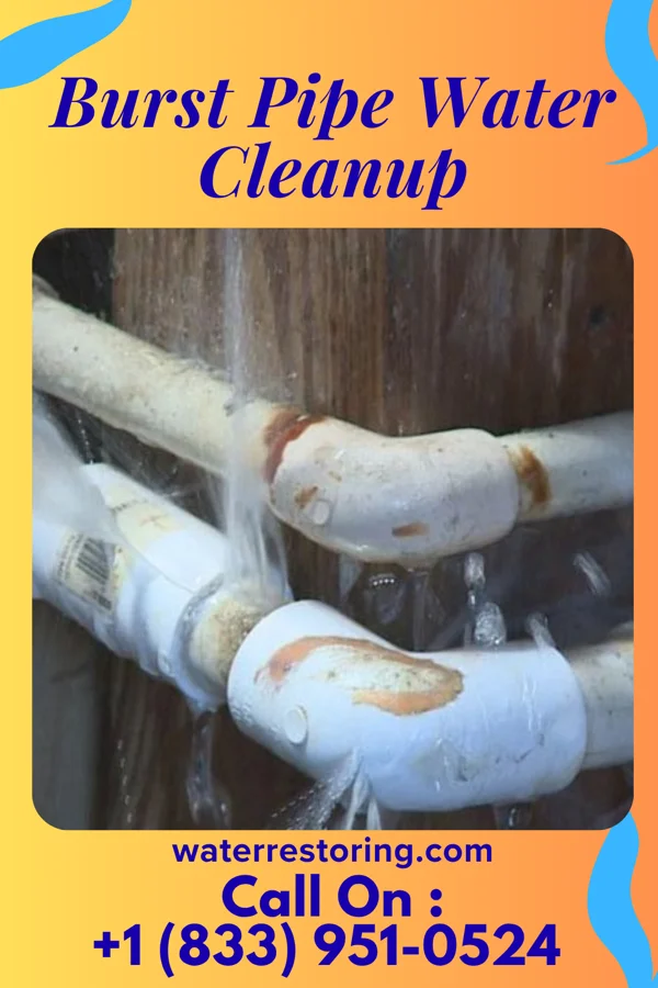 Burst Pipe Water Cleanup in Bobo, MS