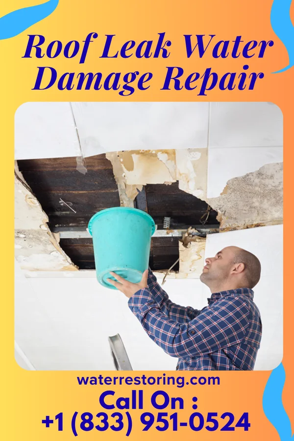 Roof Leak Water Damage Repair in Bobo, MS