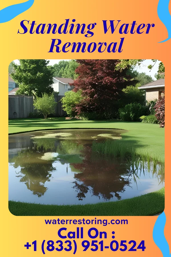 Standing Water Removal in Bobo, MS